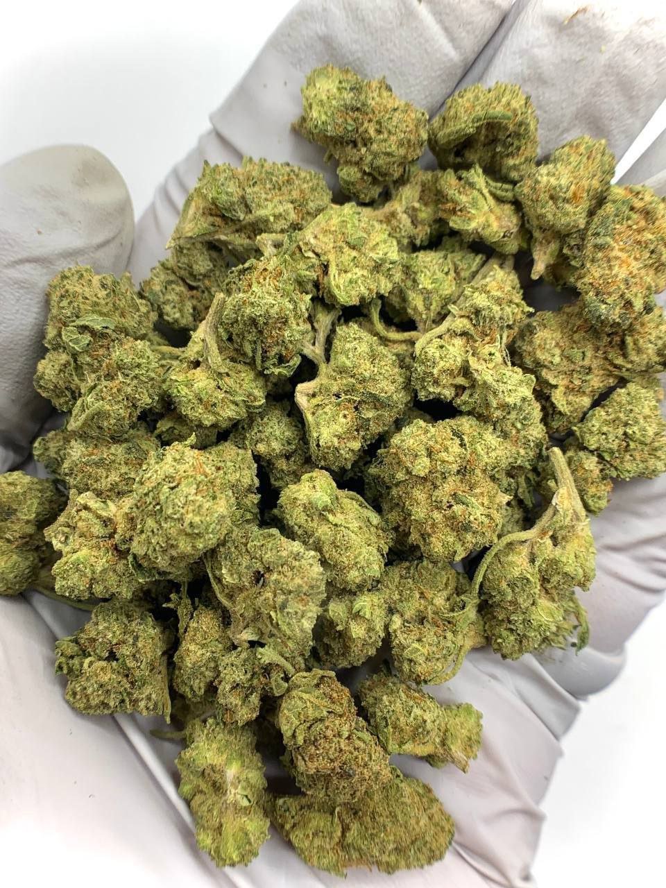 Home 31 Apple Tartz THCA