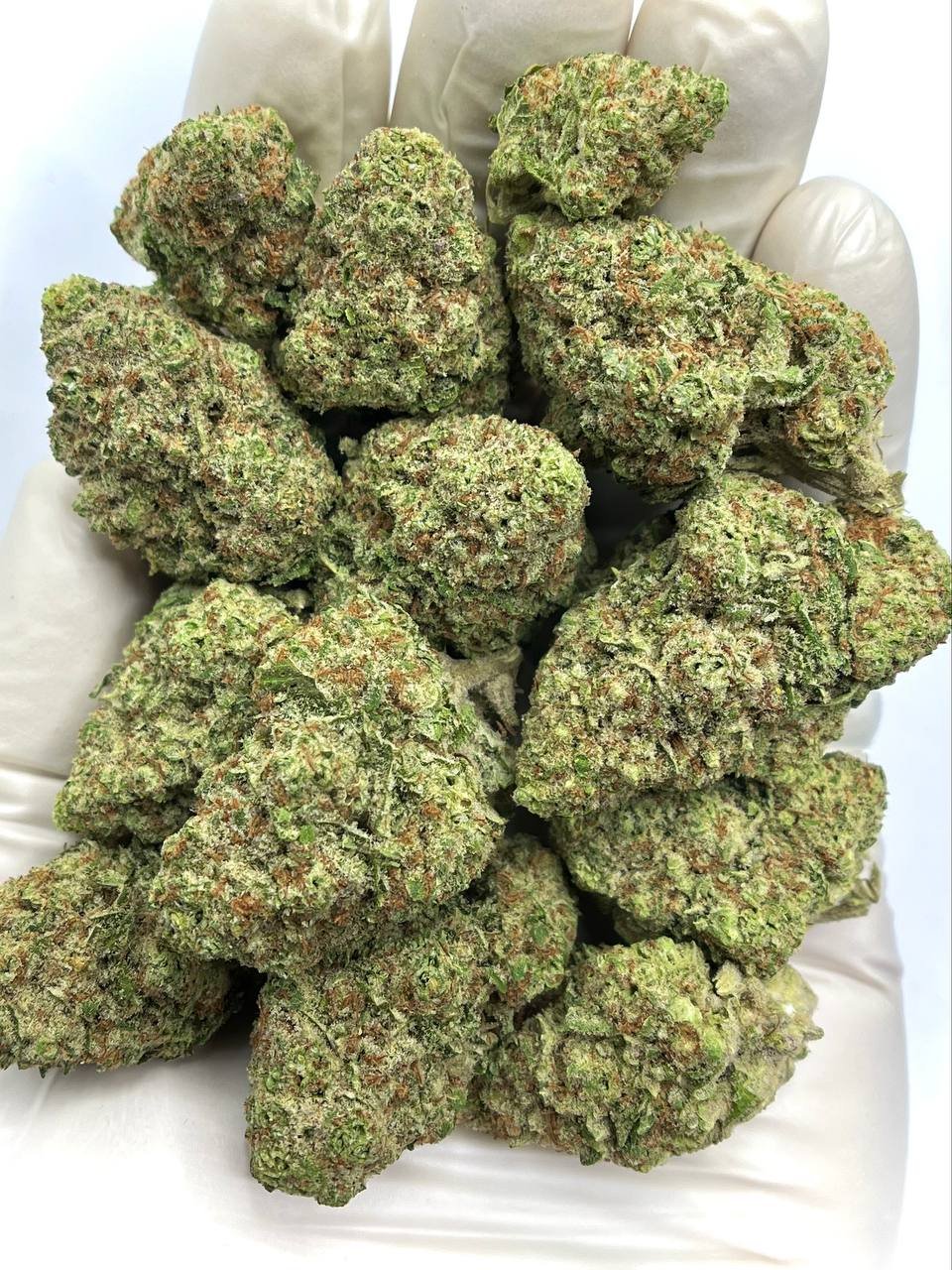 Home 30 Papaya Punch THCA